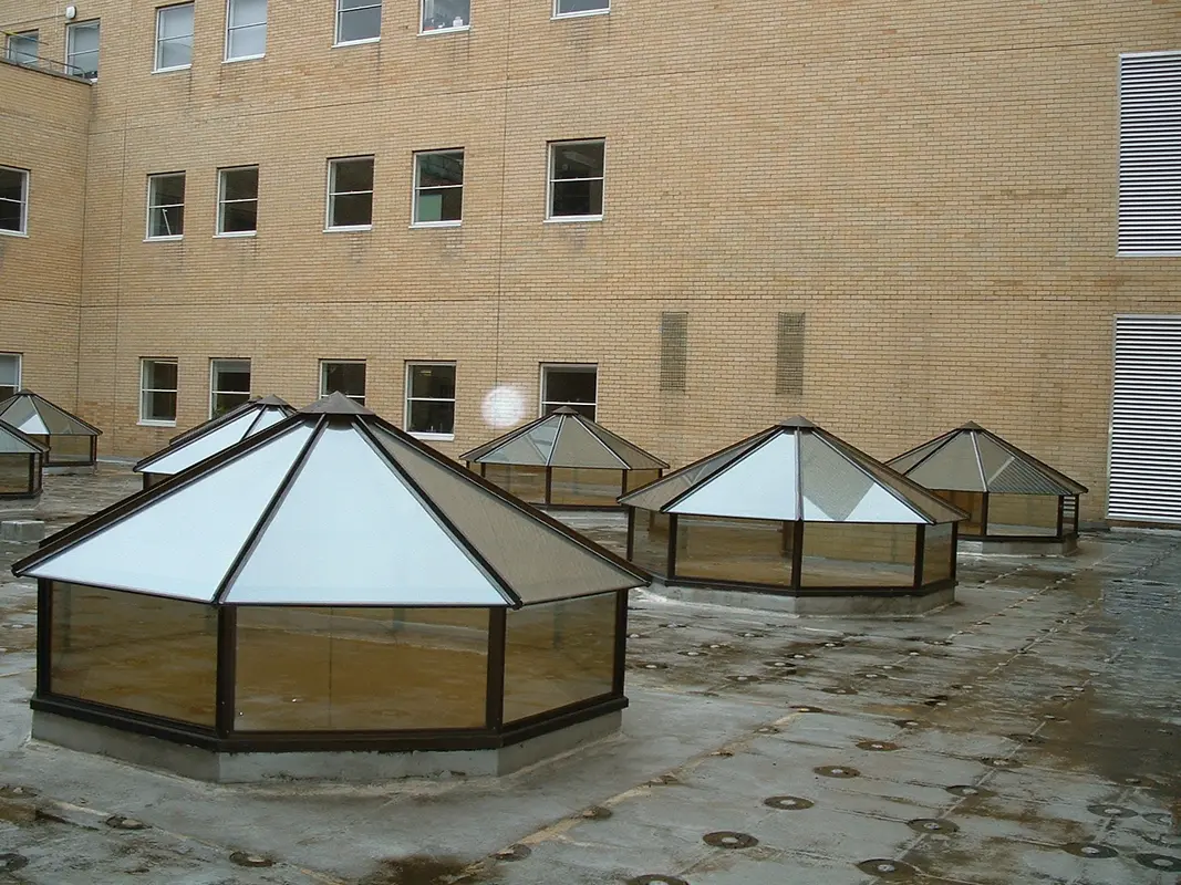 Flat Roof Skylights Upper Edmonton